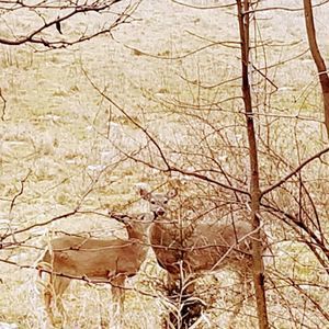 Meet your Posher, Jt